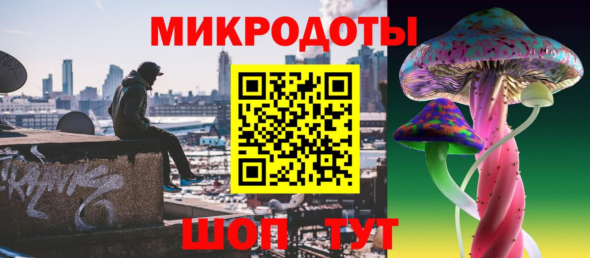 Псилоцибиновые грибы Psilocybine cubensis Советский
